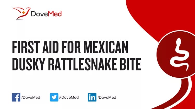 First Aid for Mexican Dusky Rattlesnake Bite