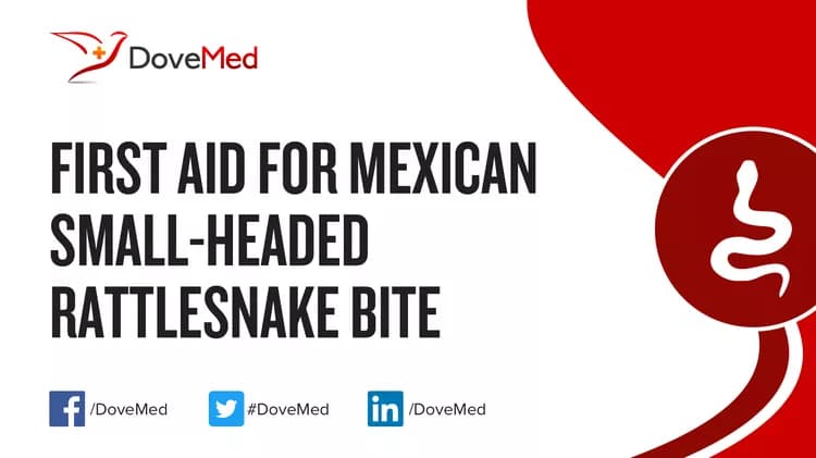 First Aid for Mexican Small-Headed Rattlesnake Bite