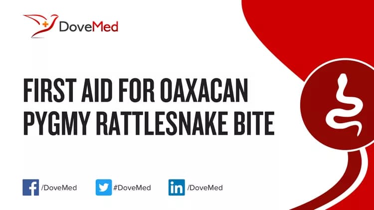 First Aid for Oaxacan Pygmy Rattlesnake Bite