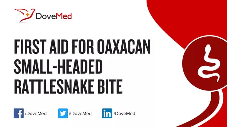 First Aid for Oaxacan Small-Headed Rattlesnake Bite