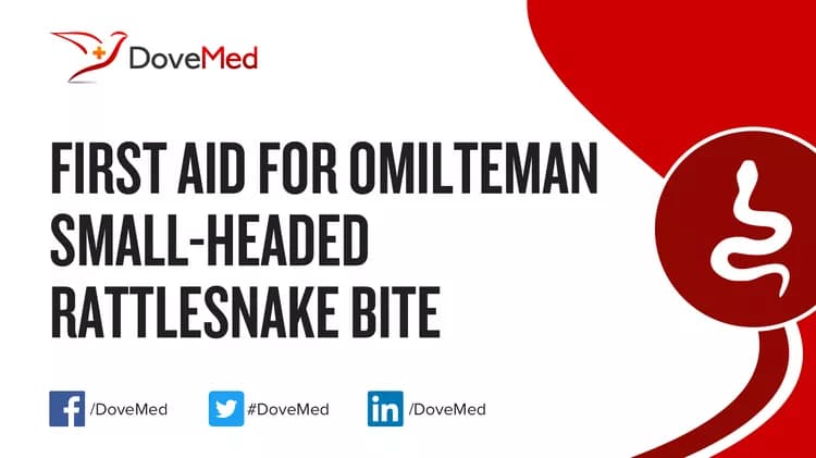 First Aid for Omilteman Small-Headed Rattlesnake Bite