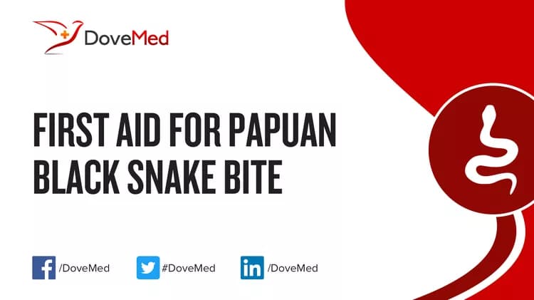 First Aid for Papuan Black Snake Bite