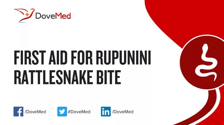 First Aid for Rupunini Rattlesnake Bite