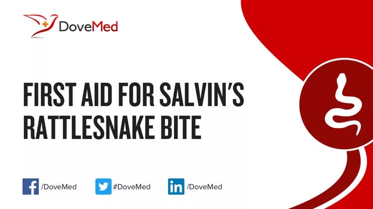 First Aid for Salvin's Rattlesnake Bite
