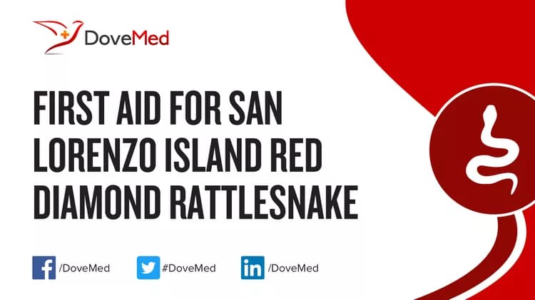 First Aid for San Lorenzo Island Red Diamond Rattlesnake Bite