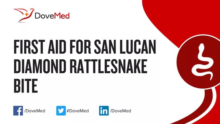 First Aid for San Lucan Diamond Rattlesnake Bite