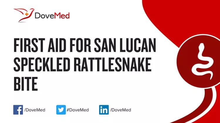 First Aid for San Lucan Speckled Rattlesnake Bite