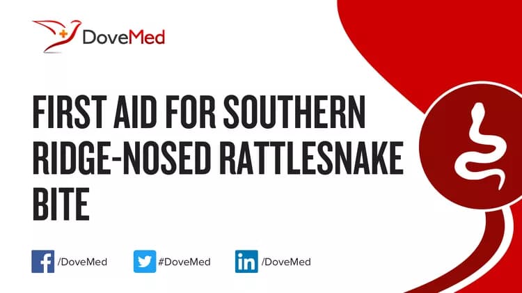 First Aid for Southern Ridge-Nosed Rattlesnake Bite