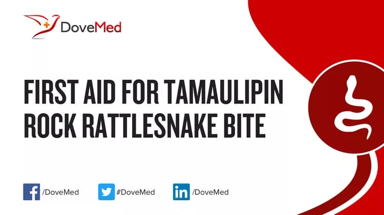 First Aid for Tamaulipin Rock Rattlesnake Bite