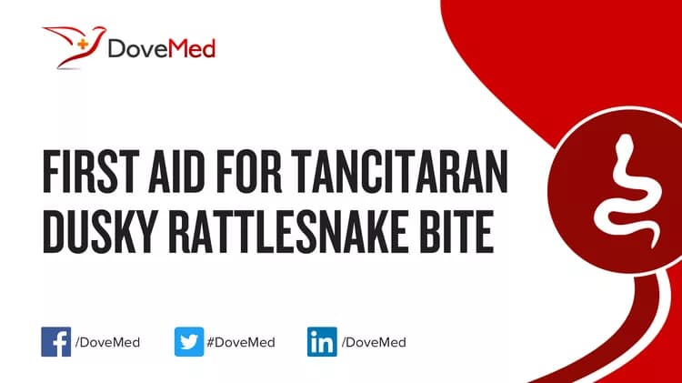 First Aid for Tancitaran Dusky Rattlesnake Bite