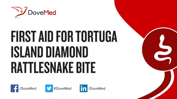 First Aid for Tortuga Island Diamond Rattlesnake Bite