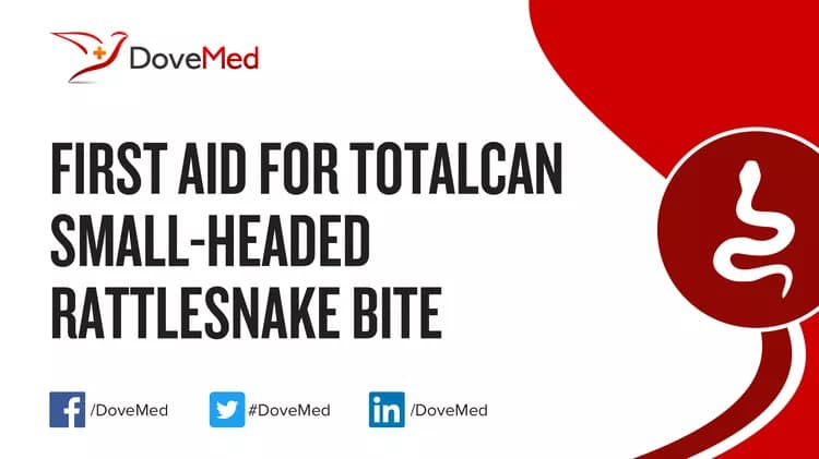 First Aid for Totalcan Small-Headed Rattlesnake Bite