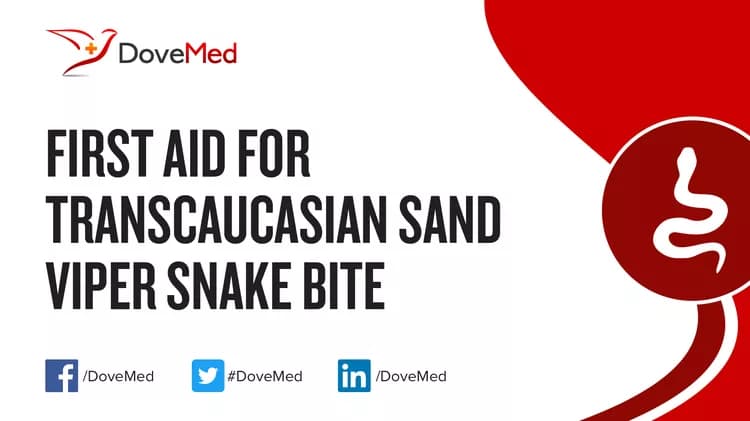 First Aid for Transcaucasian Sand Viper Snake Bite
