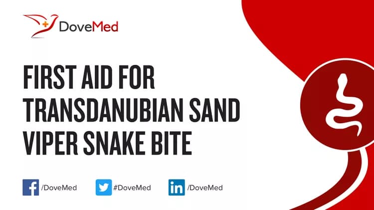 First Aid for Transdanubian Sand Viper Snake Bite