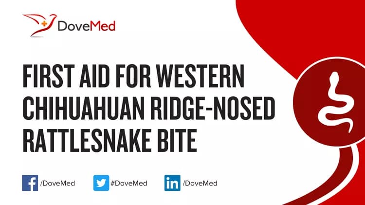 First Aid for Western Chihuahuan Ridge-Nosed Rattlesnake Bite