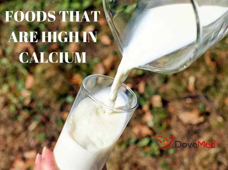 Which Foods Contain The Most Calcium?