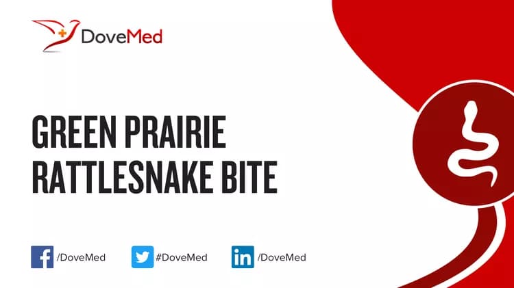 Where are you most likely to encounter Green Prairie Rattlesnake Bite?