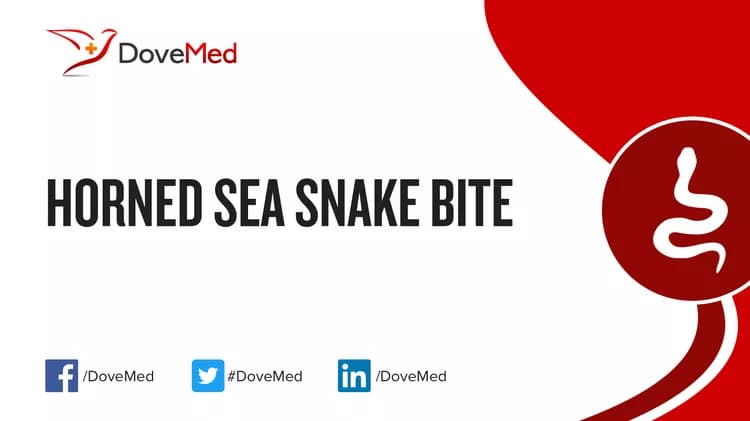 Where are you most likely to encounter Horned Sea Snake Bite?
