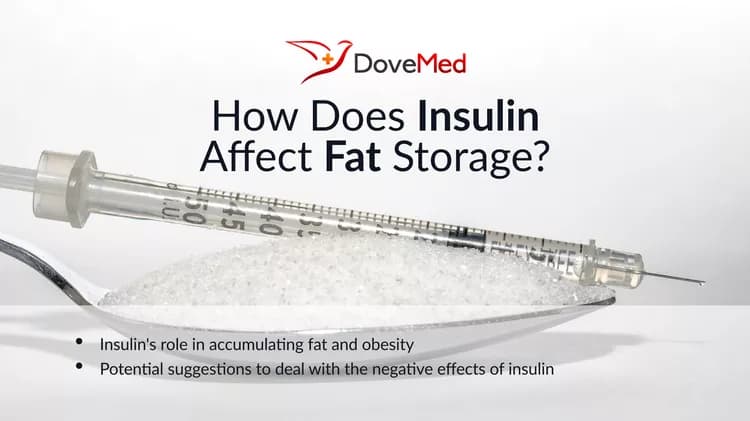 How Does Insulin Affect Fat Storage?