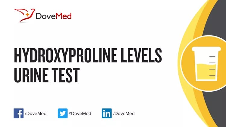 Hydroxyproline Levels Urine Test