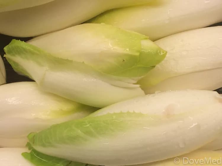 7 Great Powers Of Endive