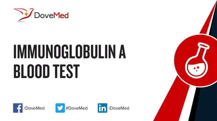 Immunoglobulin A (IgA) Blood Test