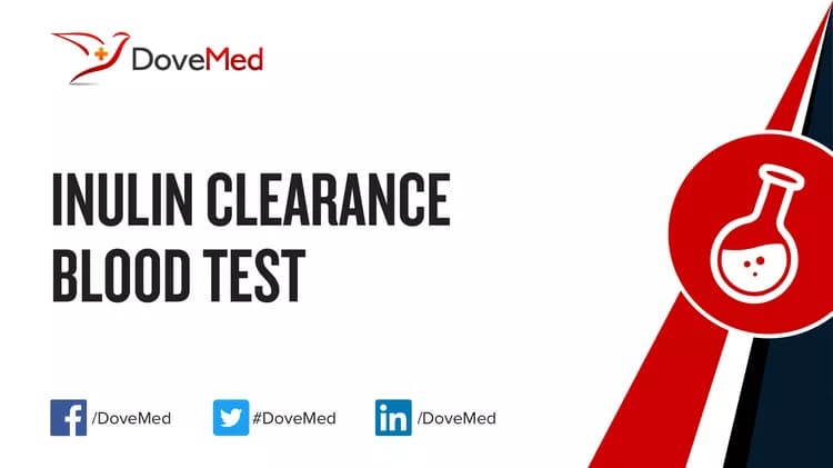 Inulin Clearance Blood Test