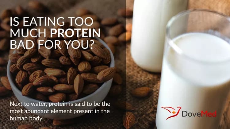 Is Eating Too Much Protein Bad For You?