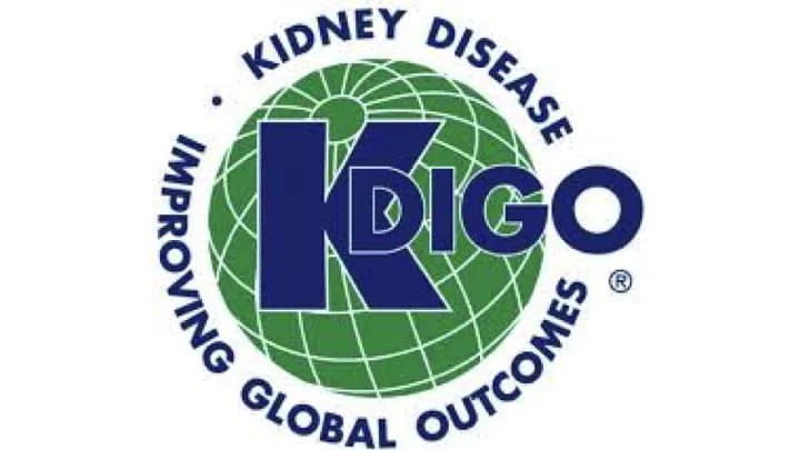Kidney Disease: Improving Global Outcomes (KDIGO)