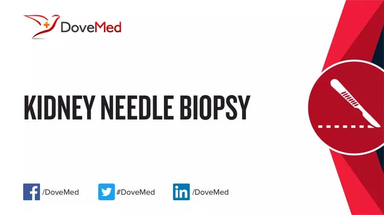 Kidney Needle Biopsy