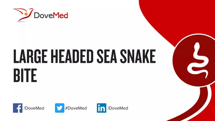 Where are you most likely to encounter Large Headed Sea Snake Bite?