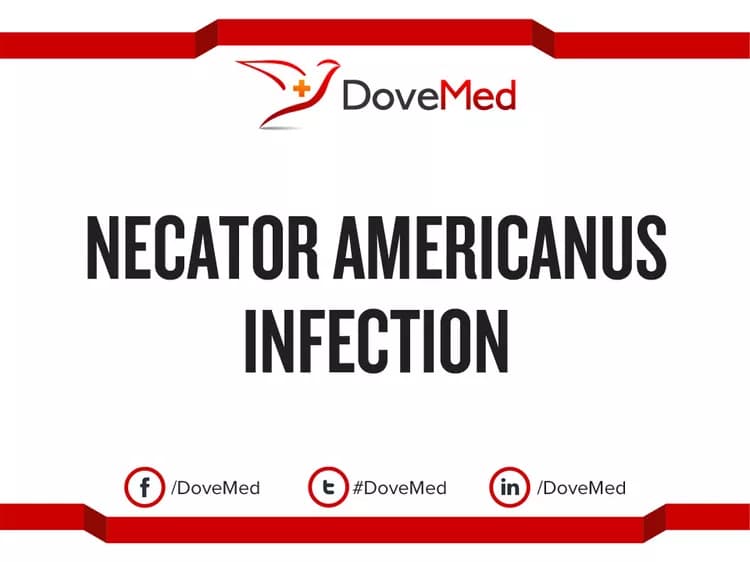 Necator Americanus Infection