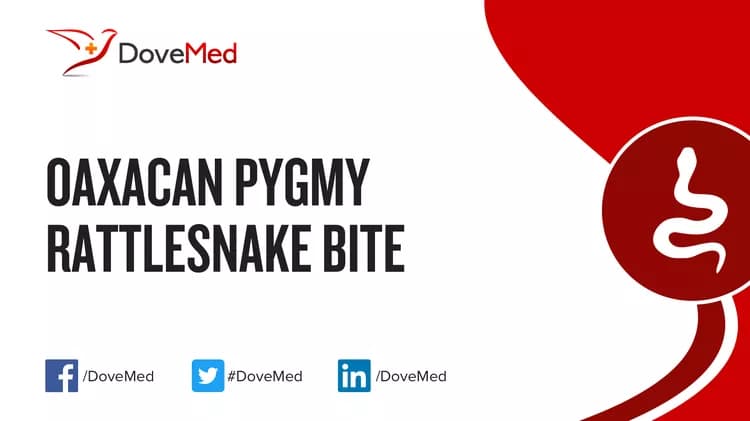 Where are you most likely to encounter Oaxacan Pygmy Rattlesnake Bite?