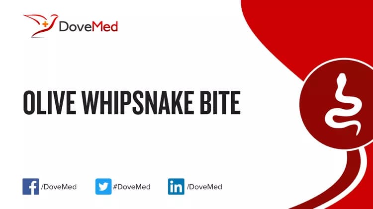 Where are you most likely to encounter Olive Whipsnake Bite?