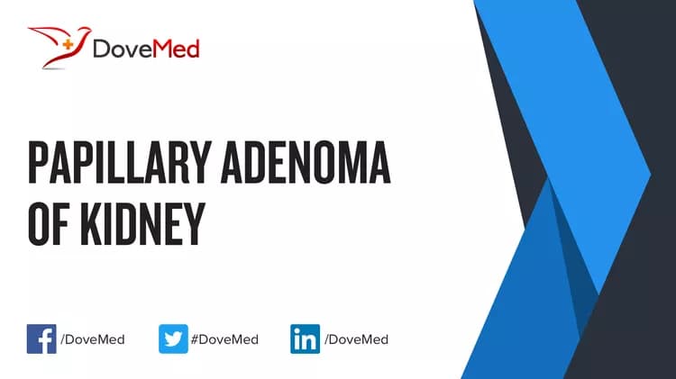 Papillary Adenoma of Kidney