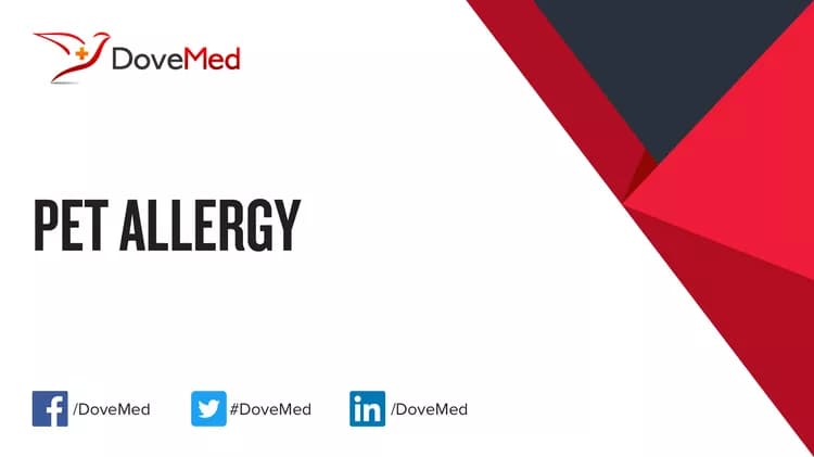 Can you access healthcare professionals in your community to manage Pet Allergy?