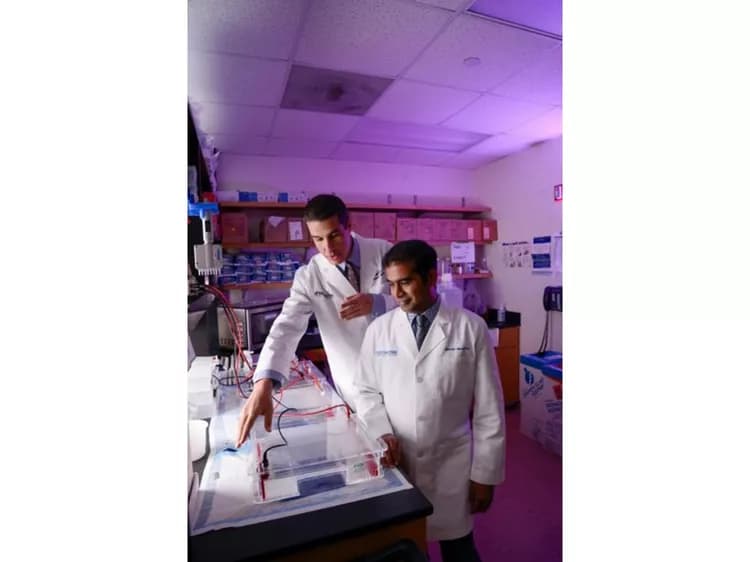 UT Southwestern Medical Center