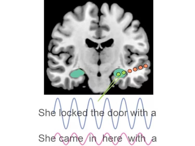 Vitória Magalhães Piai