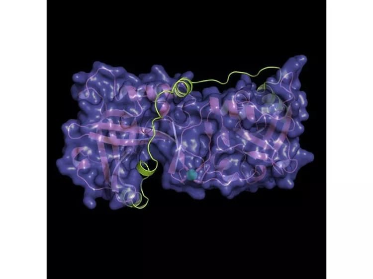 The Wistar Institute