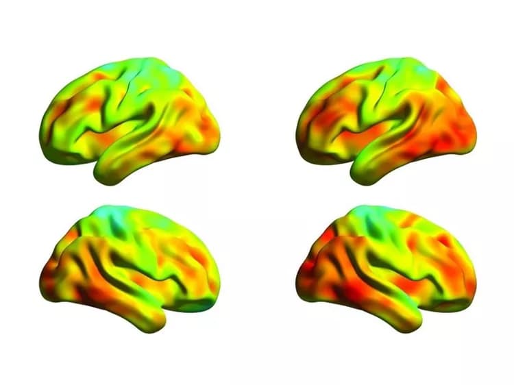Karolinska Institutet