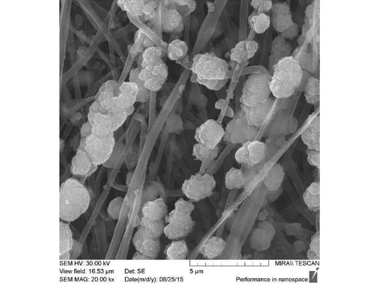 Tomsk Polytechnic University