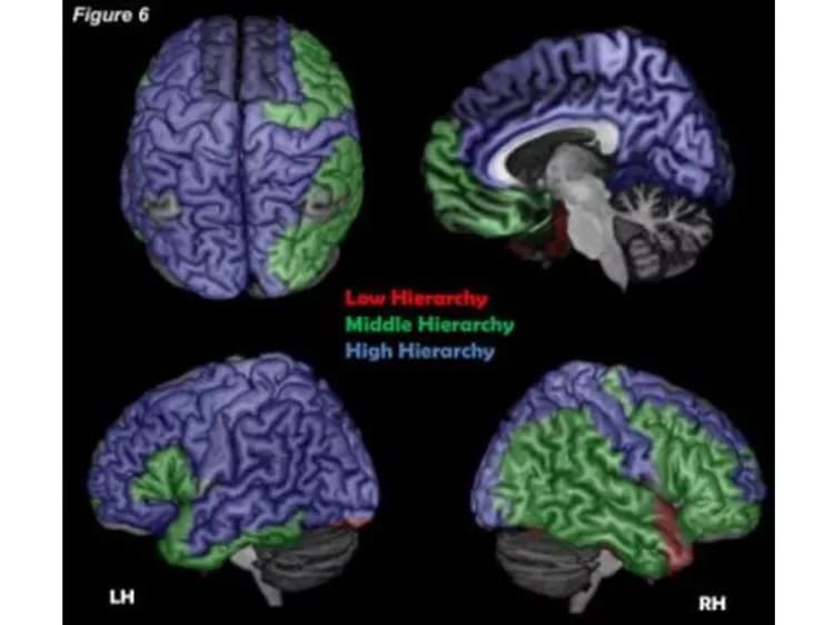 Nir Lahav, Eti Ben Simon
