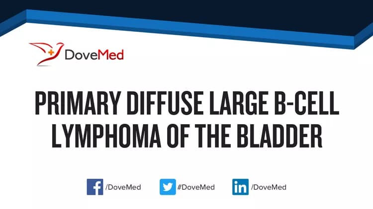 Is the cost to manage Primary Diffuse Large B-Cell Lymphoma of Vagina in your community affordable?