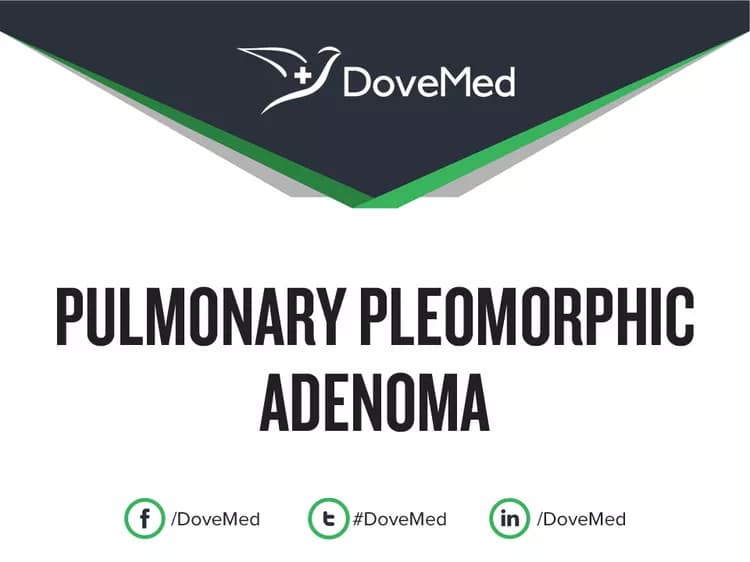 Pulmonary Pleomorphic Adenoma