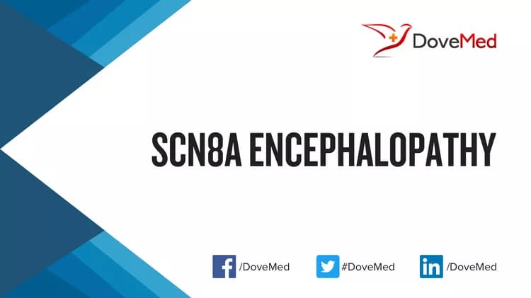 Are you satisfied with the quality of care to manage SCN8A Encephalopathy in your community?