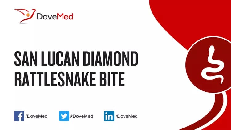 Where are you most likely to encounter San Lucan Diamond Rattlesnake Bite?
