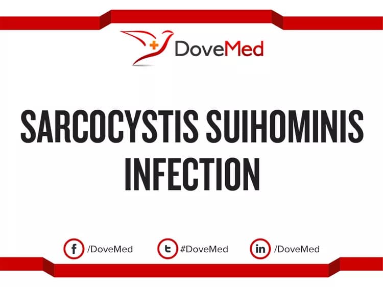 Sarcocystis Suihominis Infection