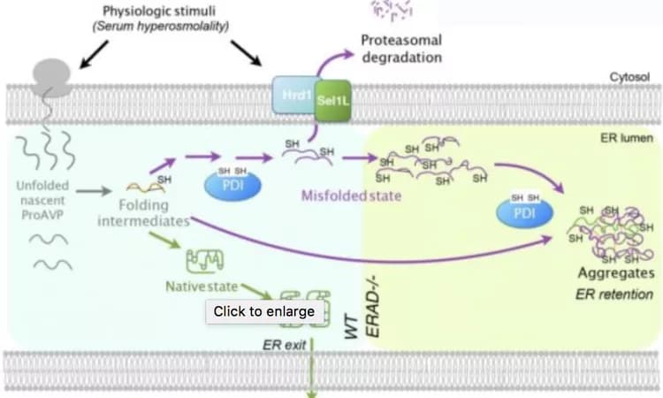 University of Michigan, Qi lab