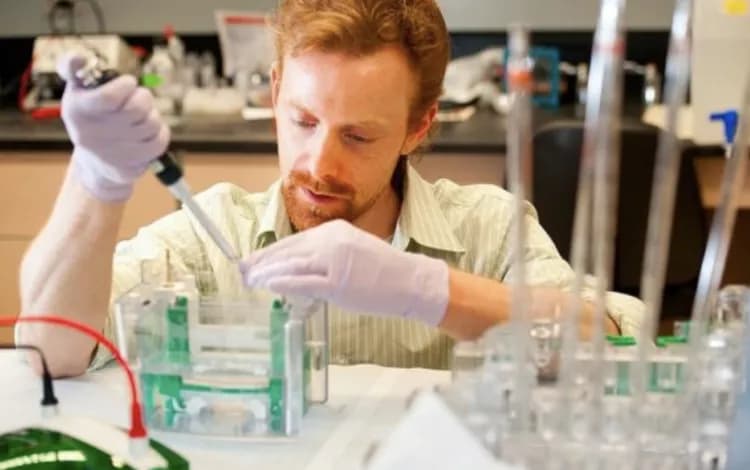 Image courtesy of Oregon State University