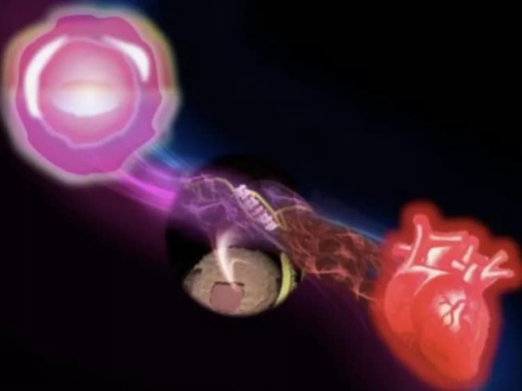 Sudhakar KeerthiPriyaa